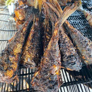 Roasted Fish ( medium Tale).